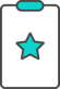 Program Management