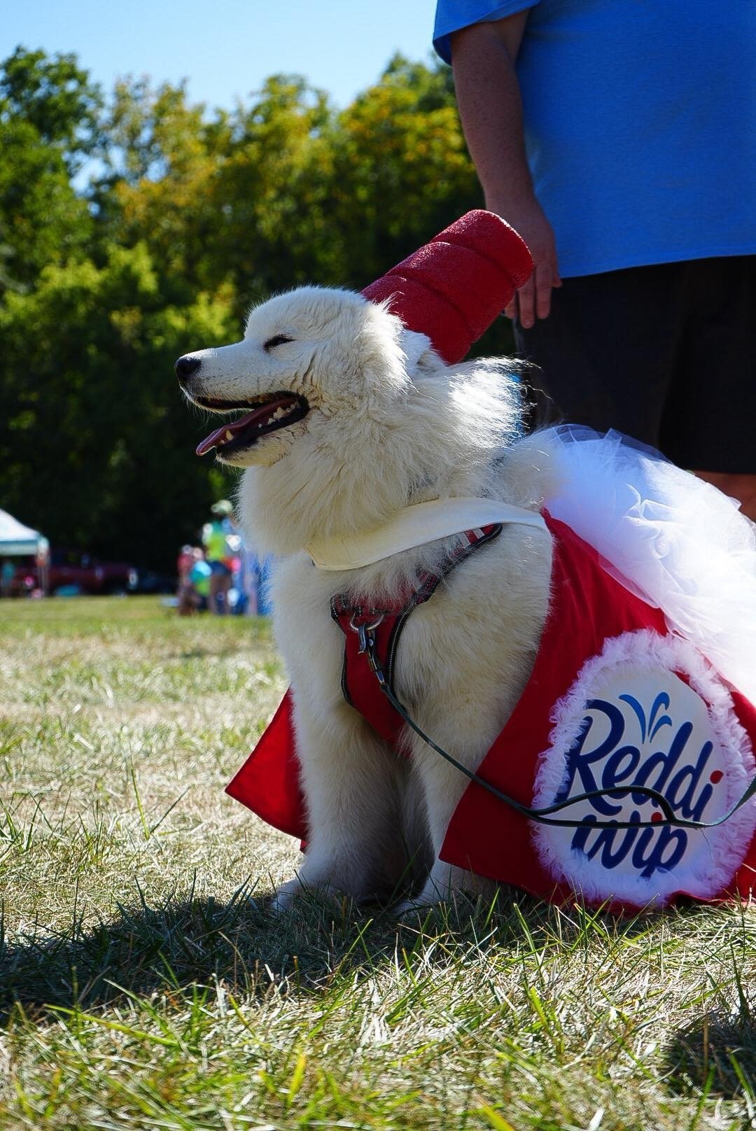 c3ef92a8-c75e-4e17-84ef-36f3c1f27a41-event_photos-IMG_0174